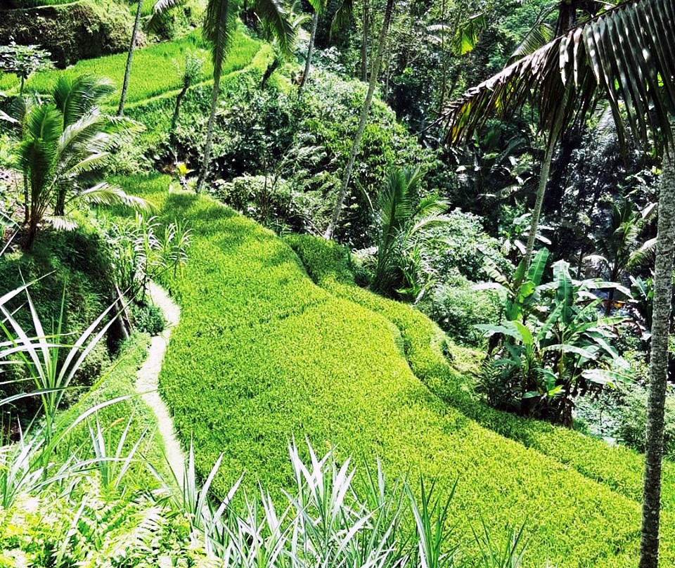 Subak Pulagan-坦帕克西林必去景点