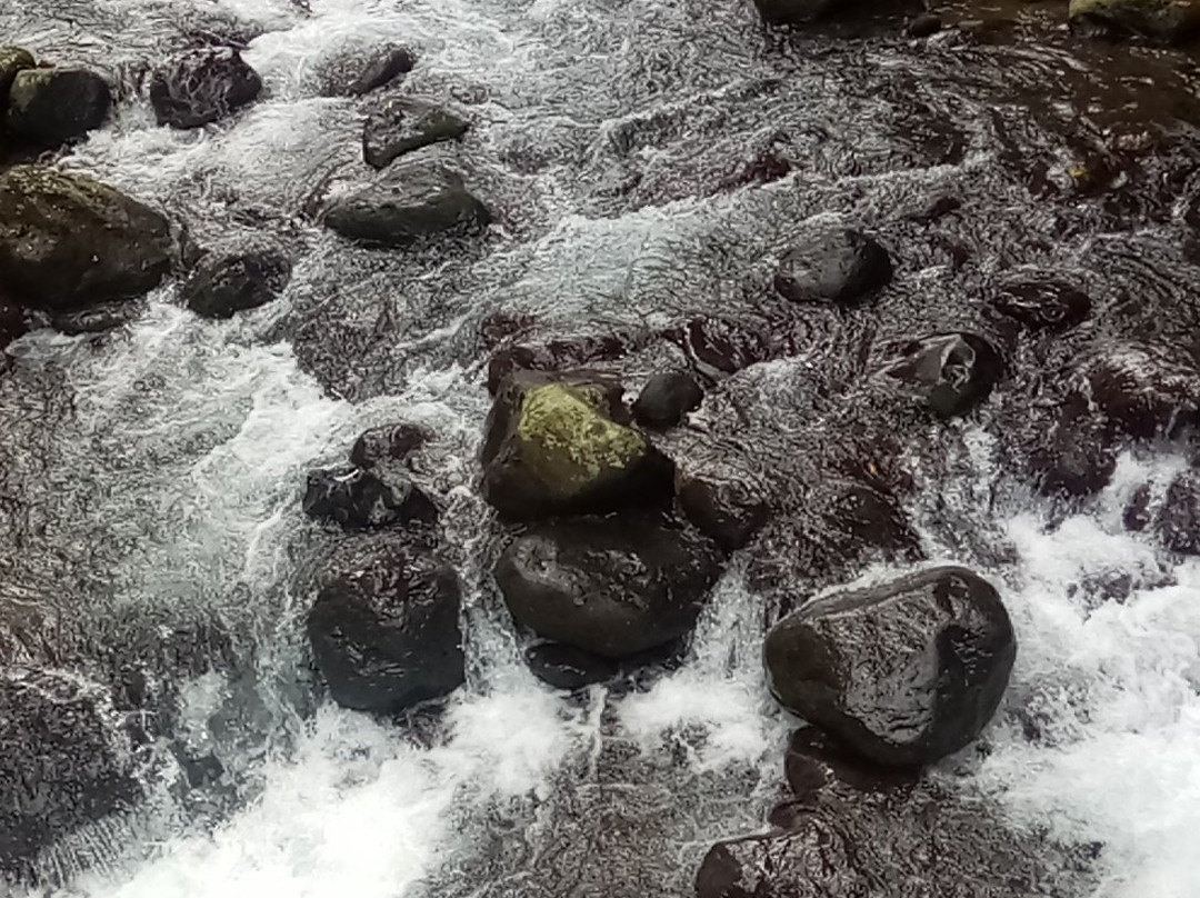 Kali Bendo Waterfall-巴纽旺宣必去景点