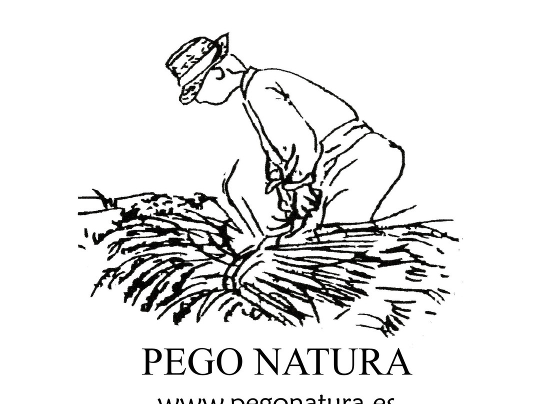 Pego Natura景点图片