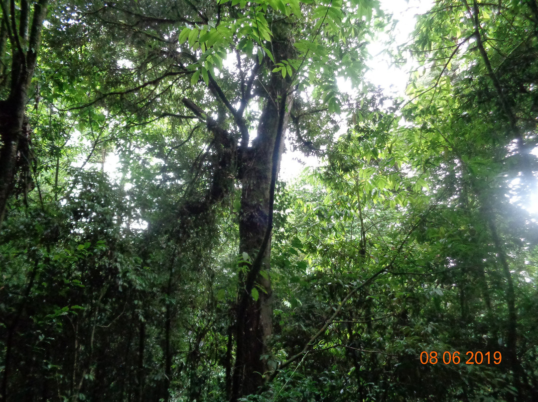 Maenam Wildlife Sanctuary-Namchi必去景点