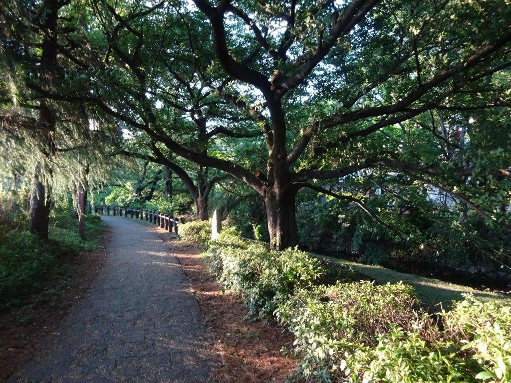Negawa Ryokudo-立川市必去景点