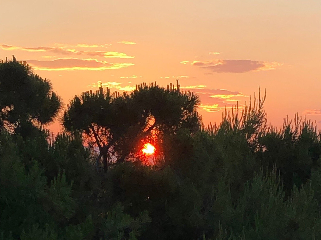 Hotel Kakanakos主图