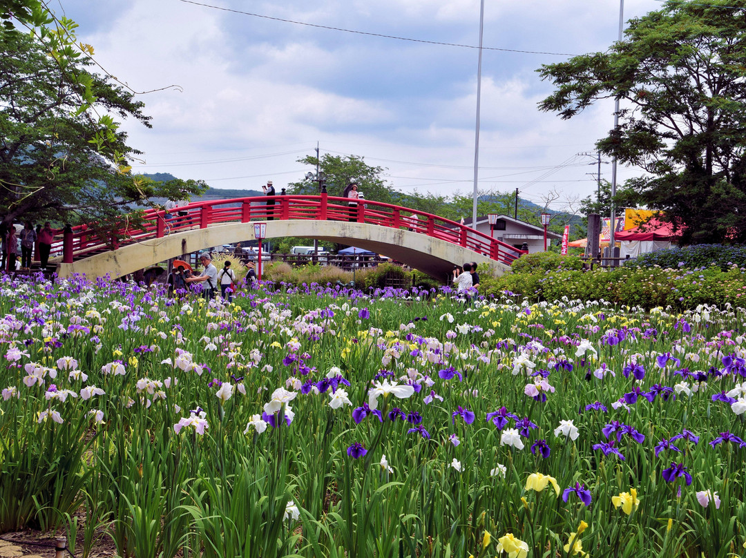 Kamo Shobuen-丰桥市必去景点