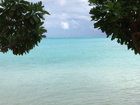 Albert's Transport-莫雷阿岛必去景点