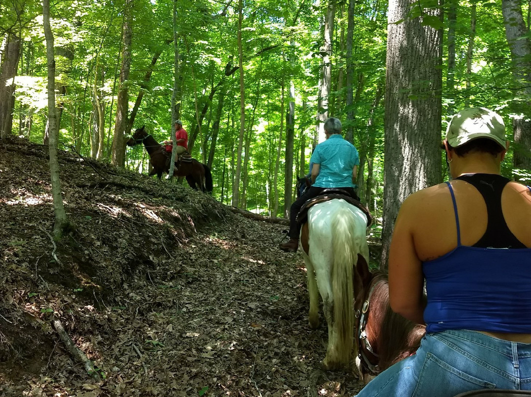 Warrior's Path Riding Stables-金斯波特必去景点