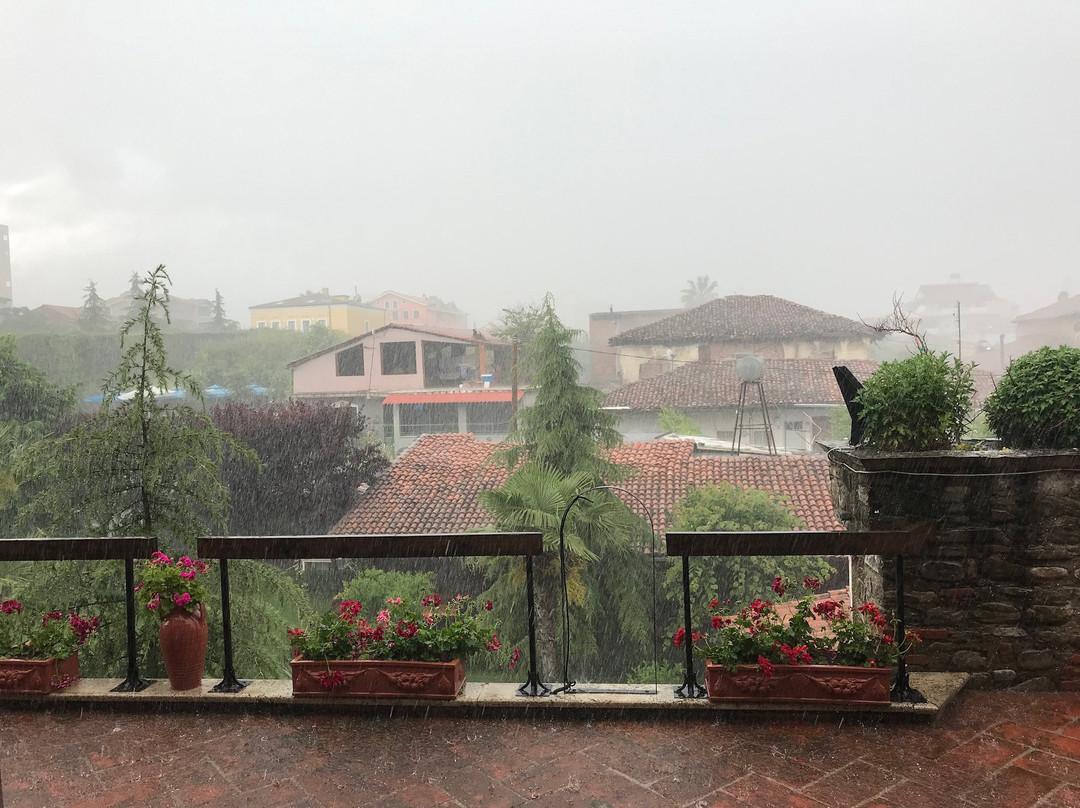 Real Scampis Hotel主图