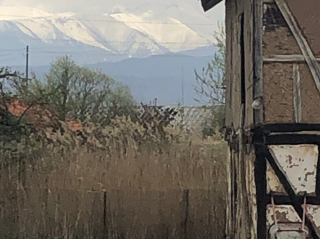 Cottage Farm-Alino必去景点