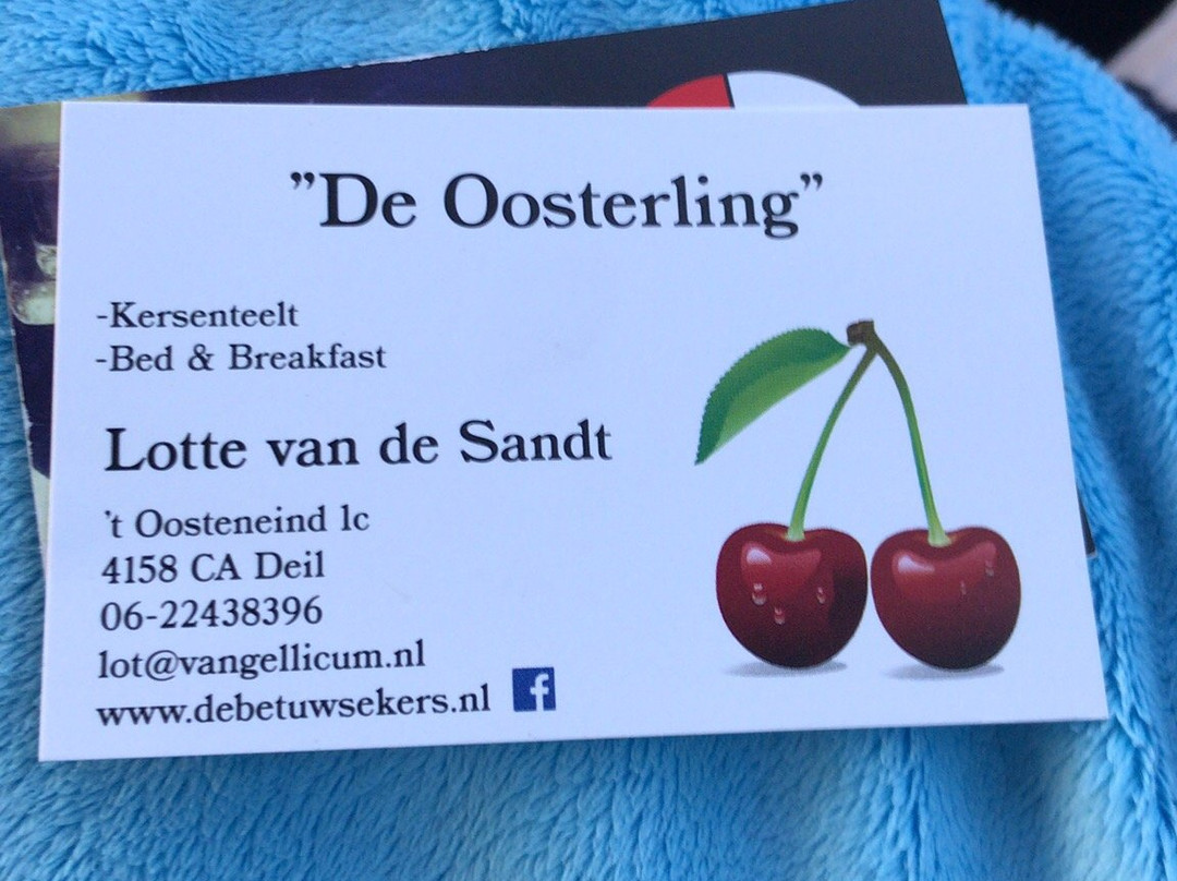 De Oosterling主图