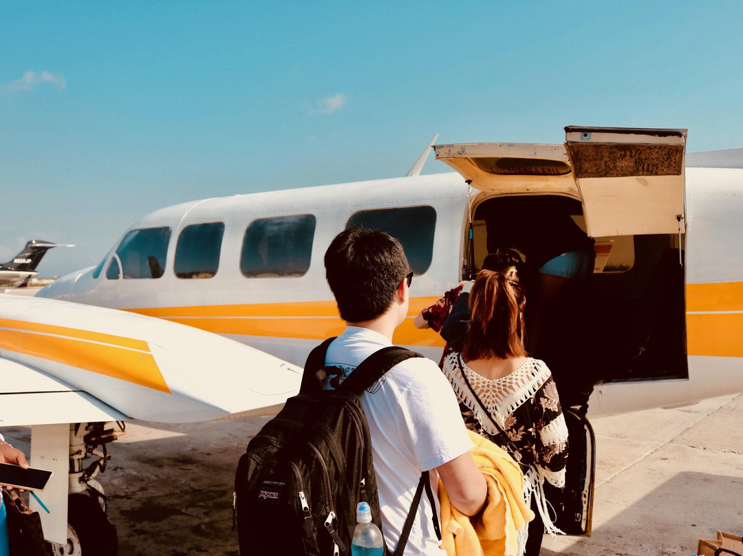 Private Airplane Swimming Pig Excursion-斯丹尼尔岛必去景点