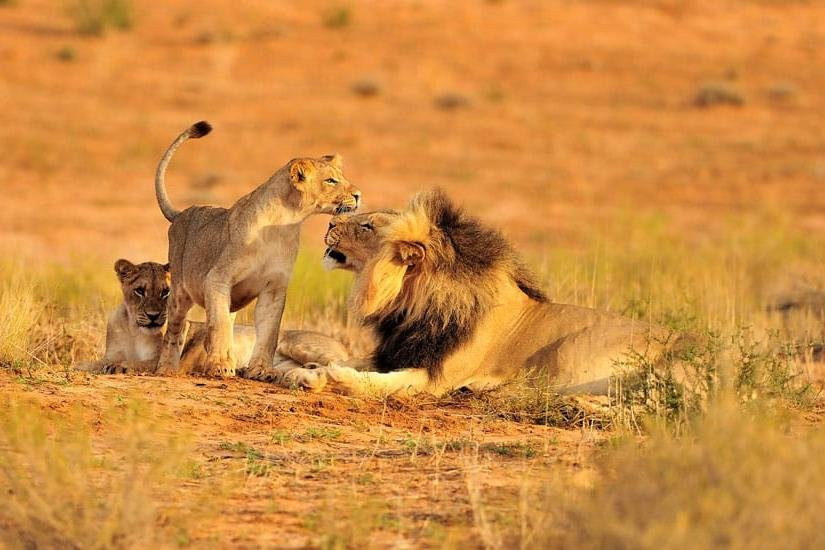 Wonderland-Dar es Salaam必去景点