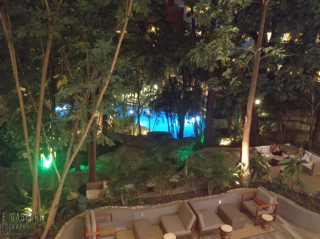 Marriott Tuxtla Gutierrez Hotel主图
