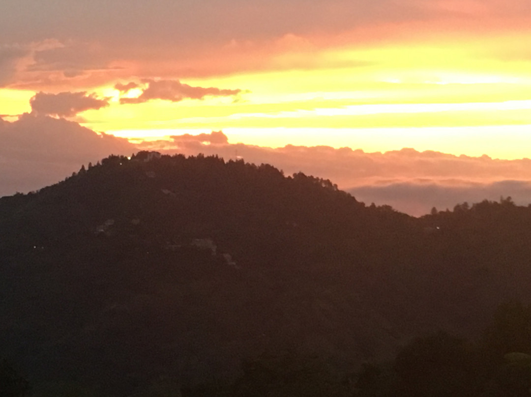 Strawberry Hill主图