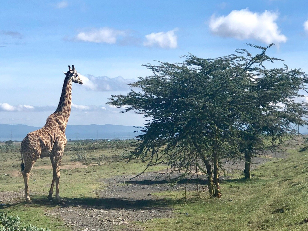兰纳特马特法姆度假酒店主图