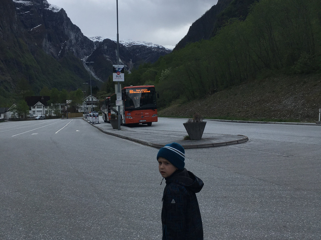 Norwegian Fjord Voyage AS-Gudvangen必去景点