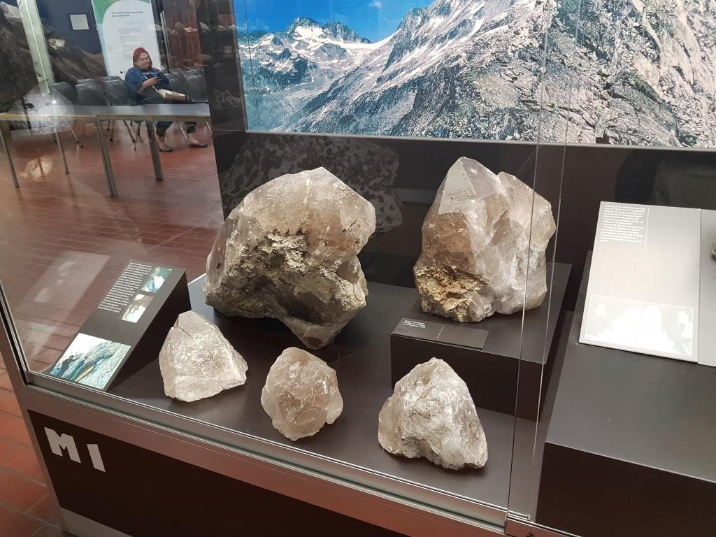 Museo Cantonale di Storia Naturale景点图片