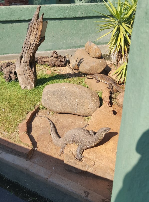 Hartbeespoort Aquarium-哈特比斯普特必去景点