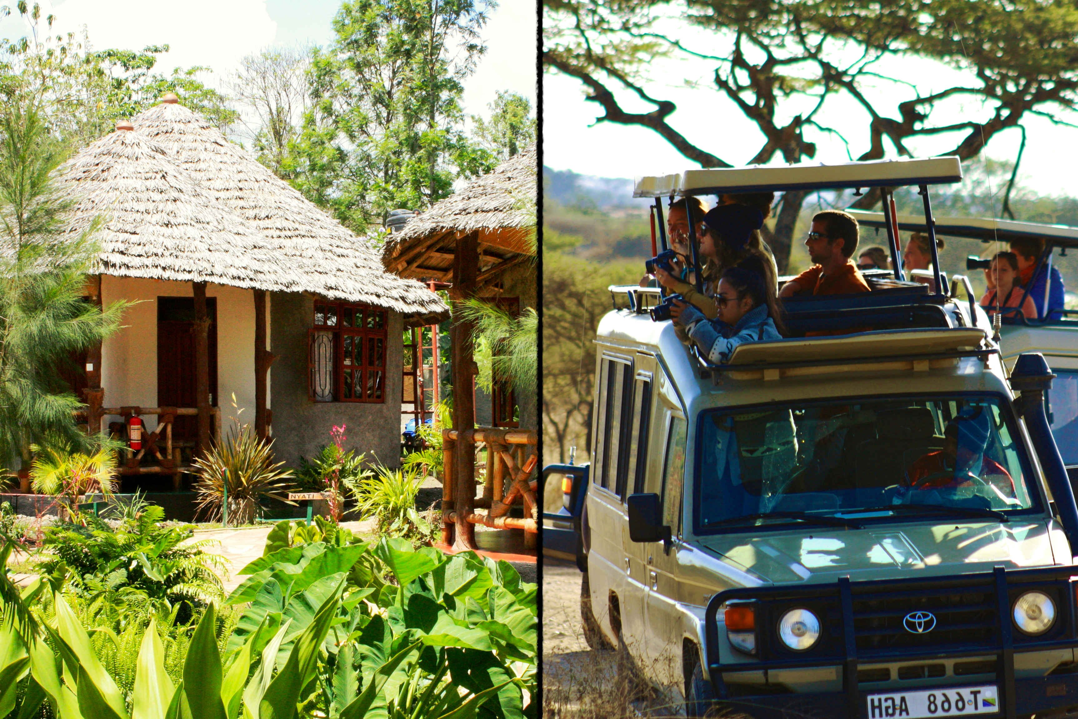 The Vijiji Center Lodge & Safari-官方