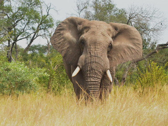 EXPLOREK2K SAFARIS AND TRANSFERS-雾观必去景点