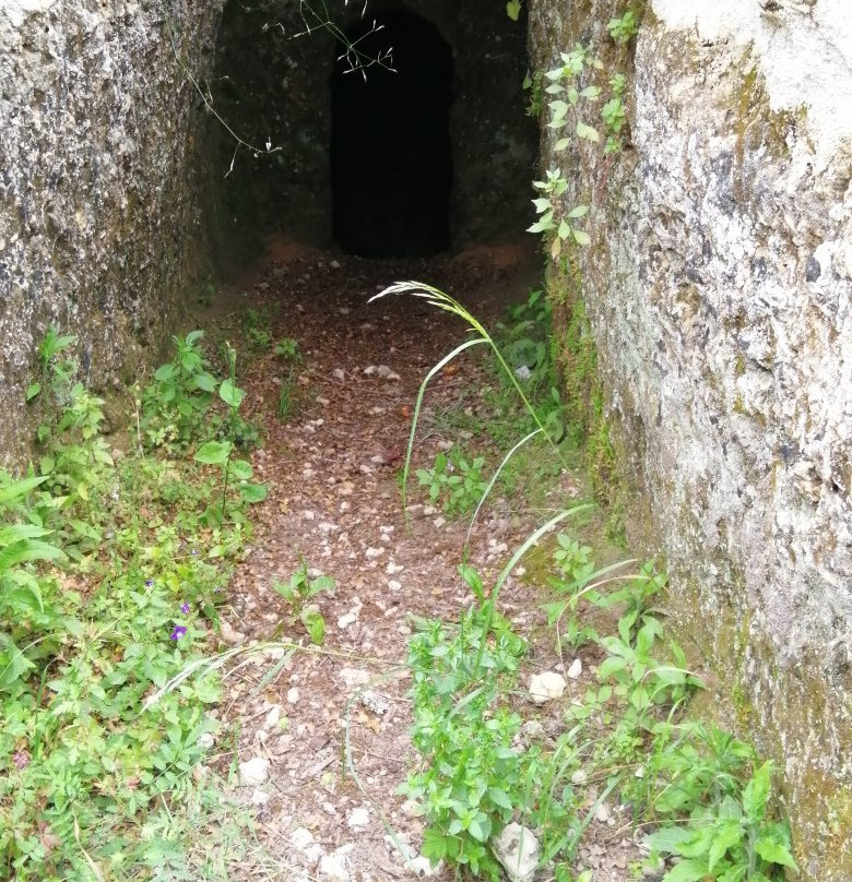 Mazarakata Mycenaean Cemetery景点图片