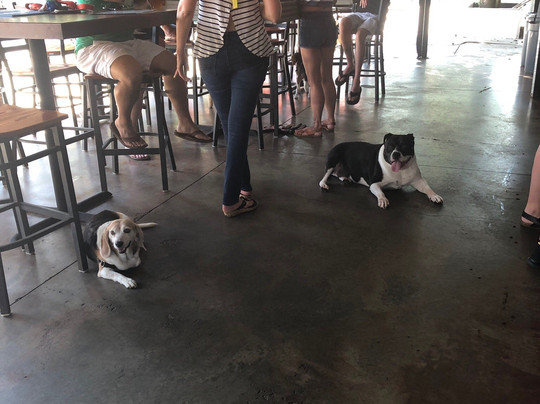 Lucky Dog Bark & Brew-科尼利厄斯必去景点