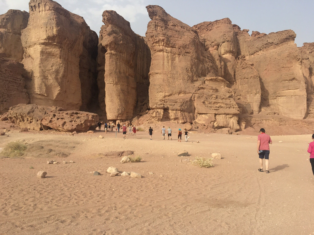 Elifaz - A Desert Holiday Experience主图