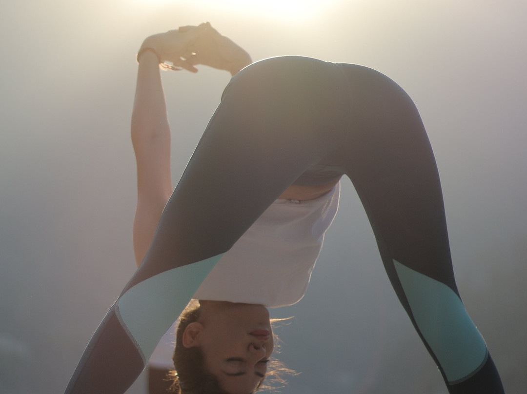 Drishti Yoga School景点图片