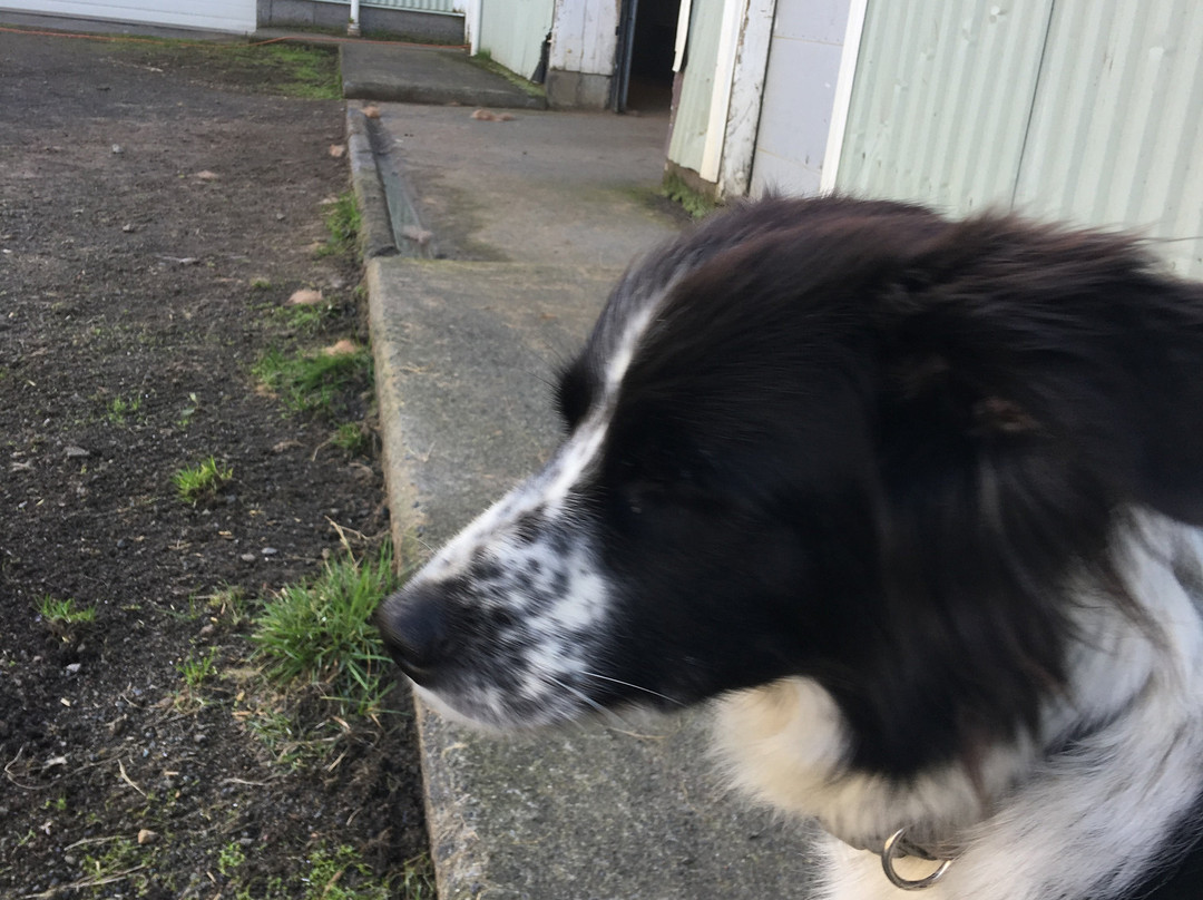 Skalakot-霍尔斯沃德吕尔镇必去景点