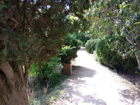 Kanhatti Garden-Khushab必去景点