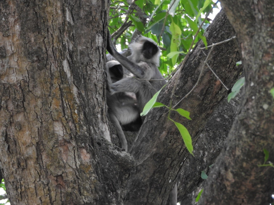 Ever Wild Trek & Tours-奇旺国家公国必去景点