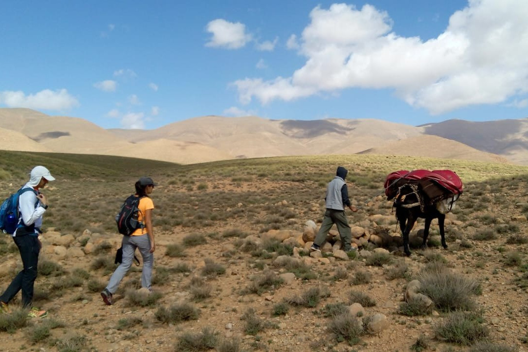 Excursion Miguirne Chez Ali景点图片