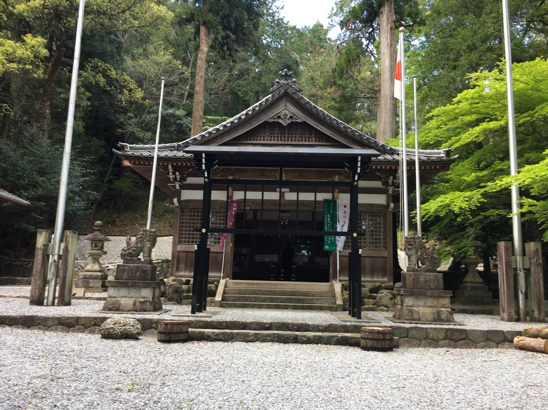 Kamo Shrine景点图片