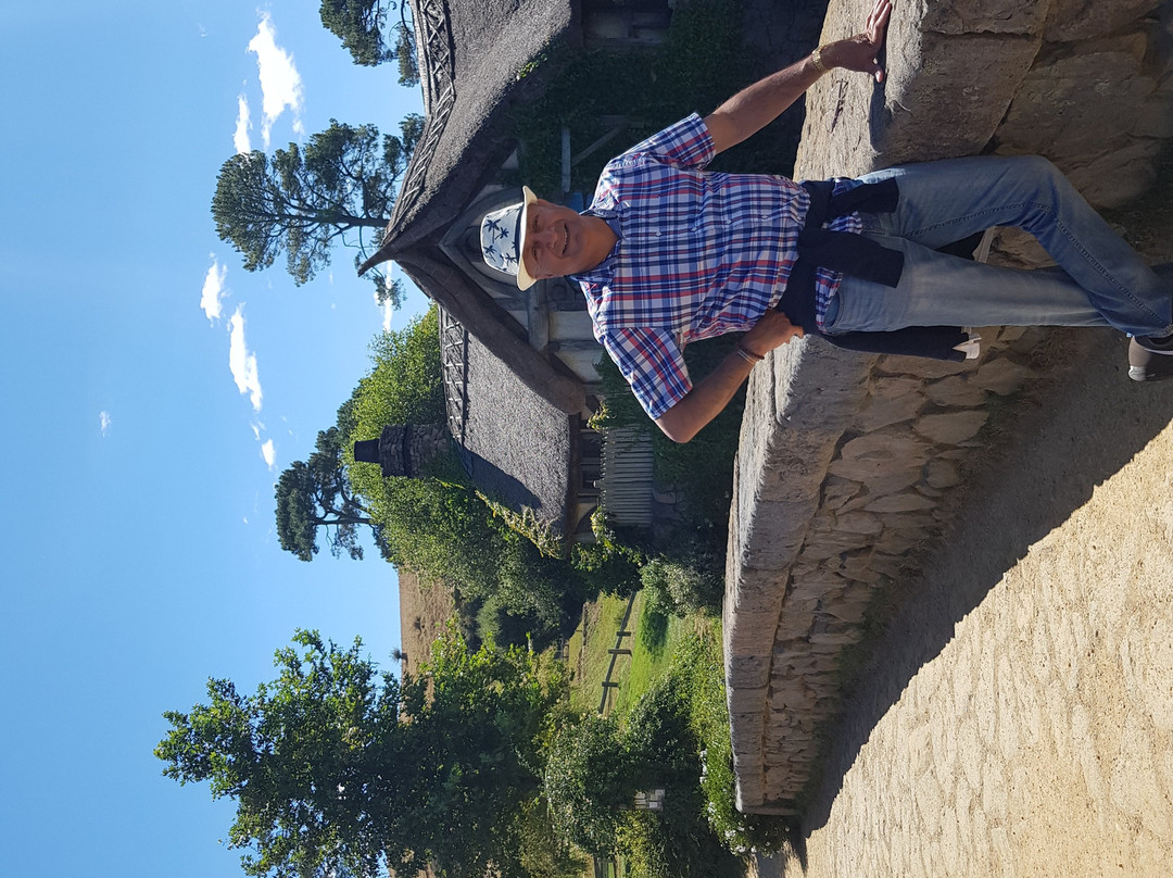 Maxwell Services-奥克兰中心地区必去景点