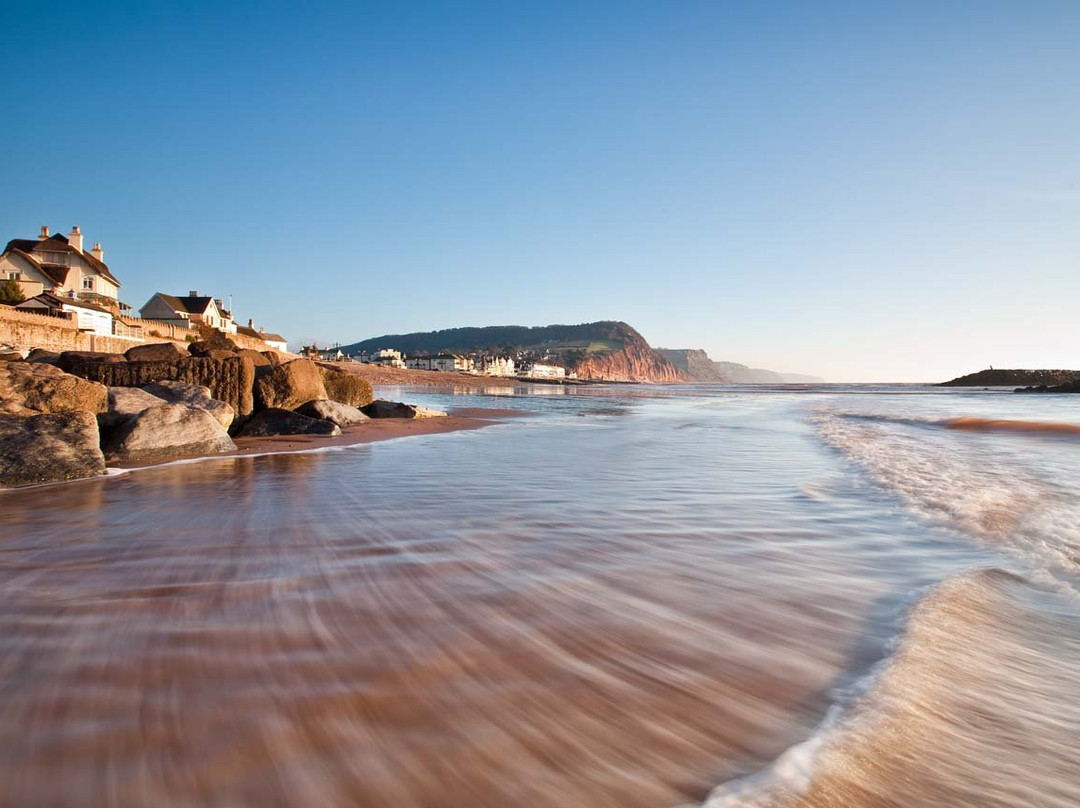 Belmont House Beer主图