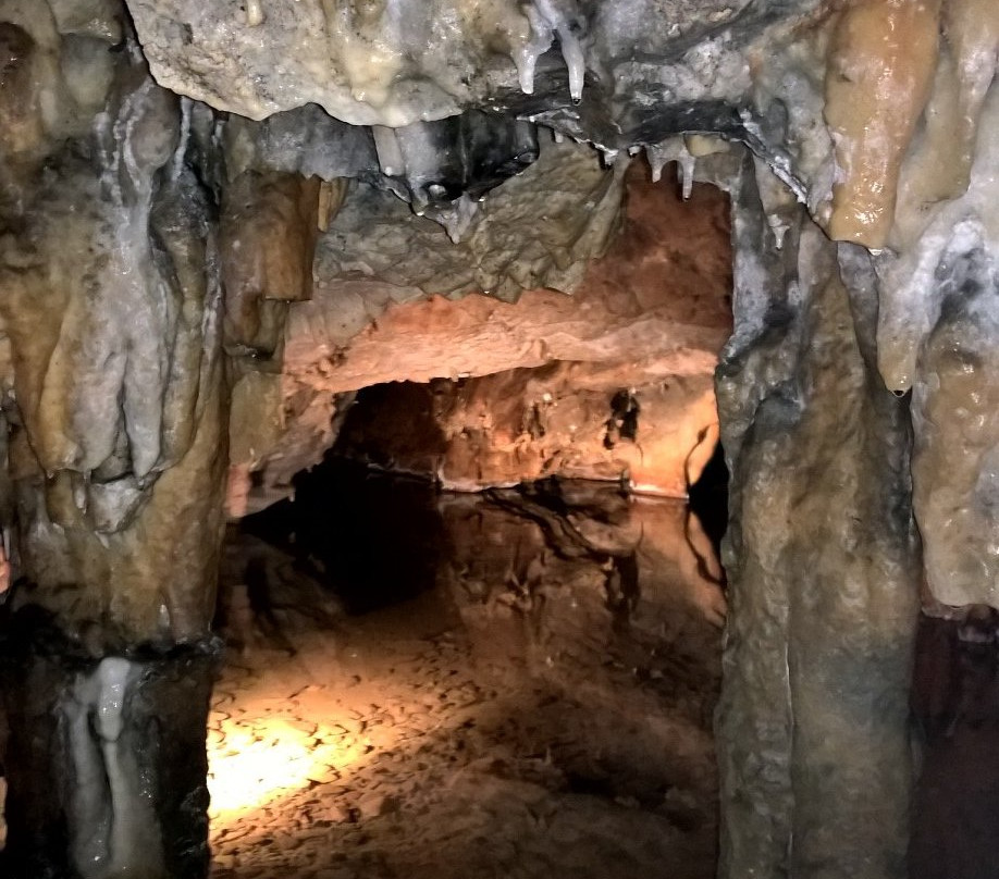 Grotta dei Dossi景点图片