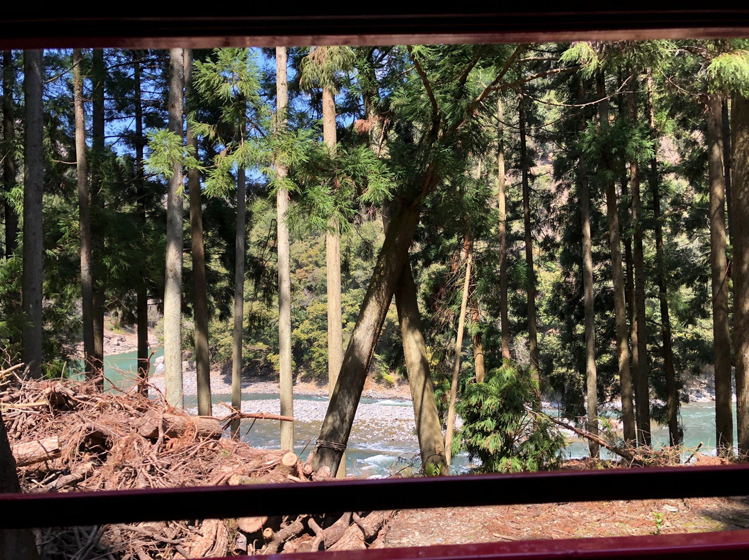 岚山嵯峨野观光小火车景点图片