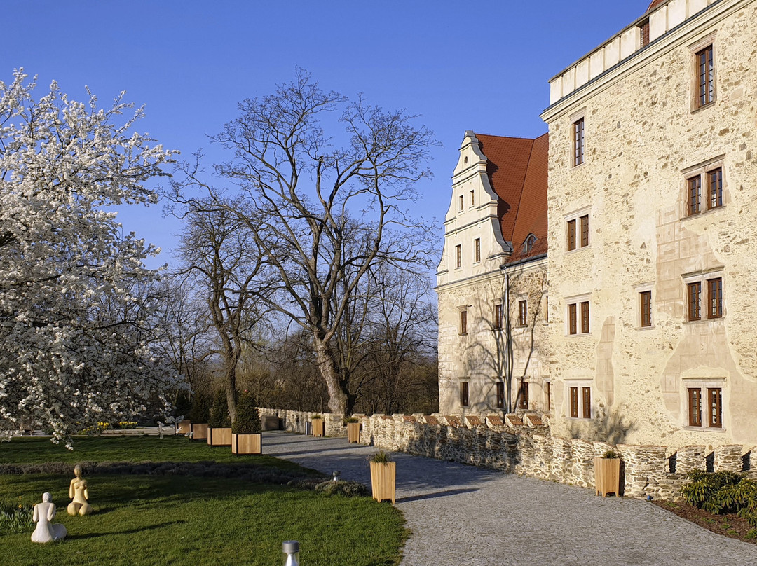 Uroczysko Siedmiu Stawow Luxury Hotel主图