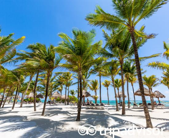 Grand Palladium White Sand Resort & Spa主图