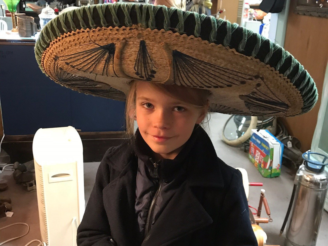 Leafs Treehouse Antiques & Collectables Mall-库斯贝必去景点