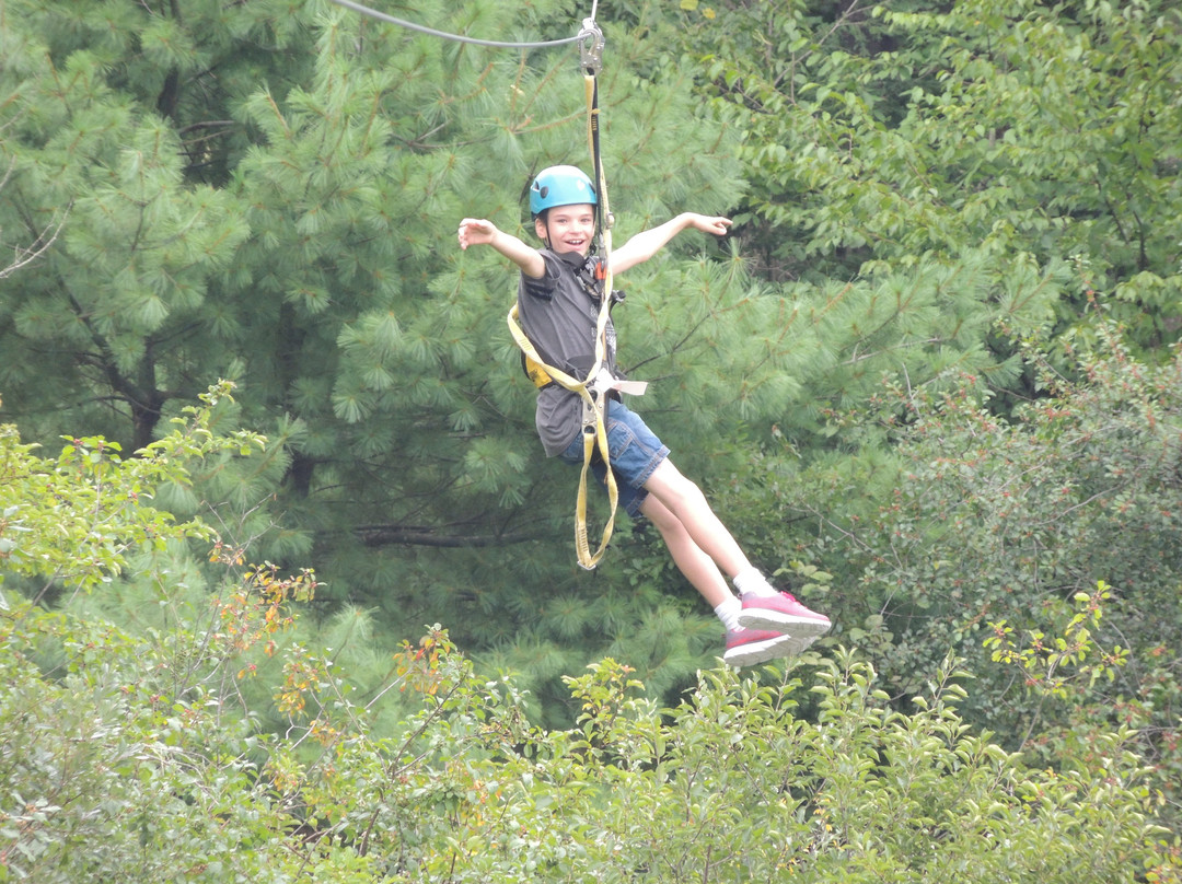 Take Flight Adventures景点图片