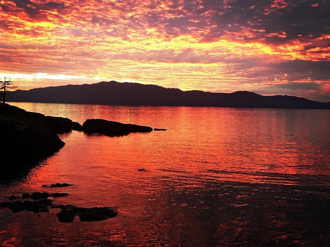 Burchills B&B by the Sea主图