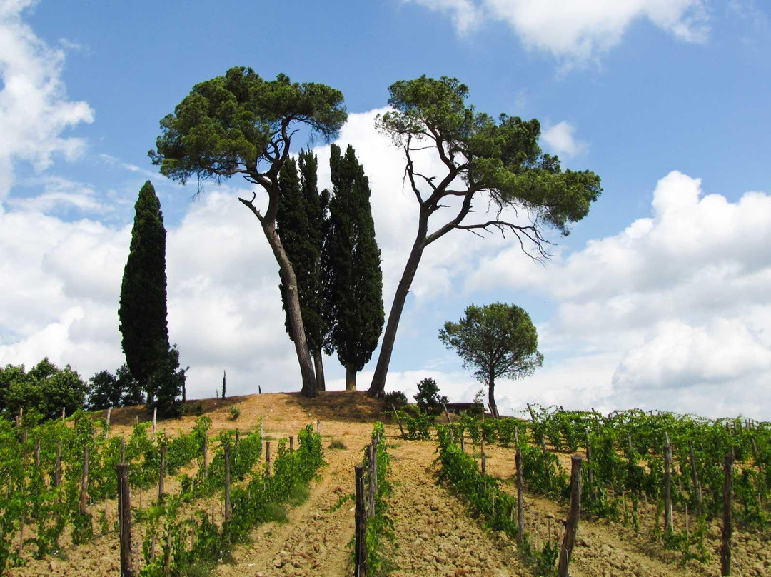 Florentine Hills-巴尼奥阿里波利必去景点