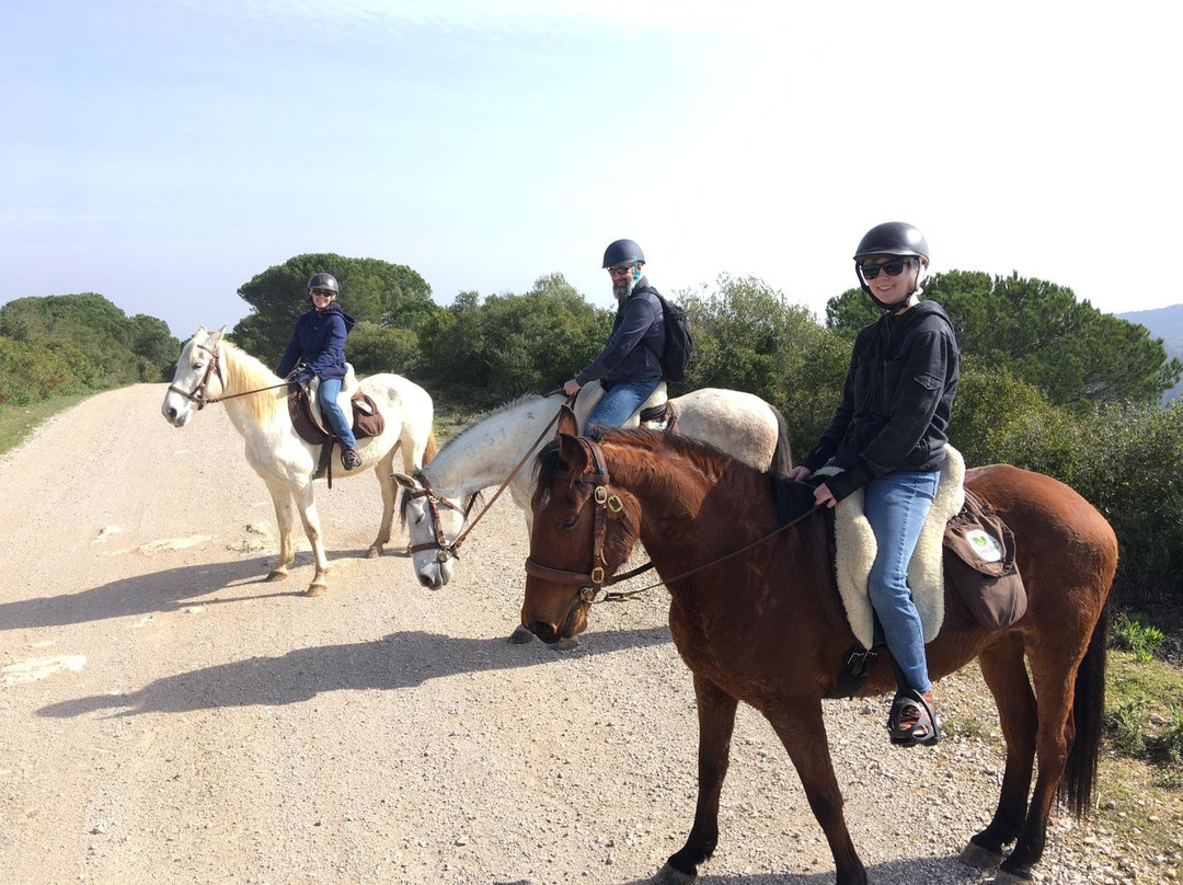 Watermelon Experiences Lisbon - Portugal-阿尔马达必去景点