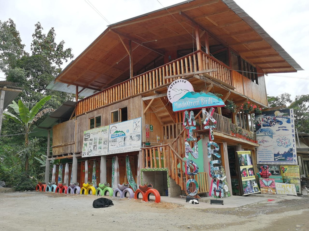 MindoXtrem Birds-明多必去景点
