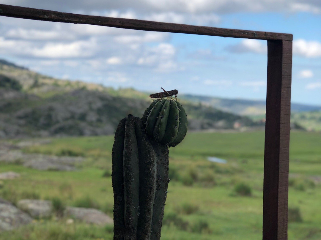 Casas Viejas Lodge & Spa主图