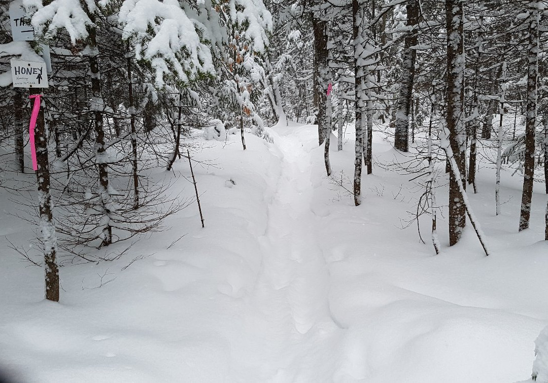 Parc-Nature du Lac Jérôme-Saint Jerome必去景点