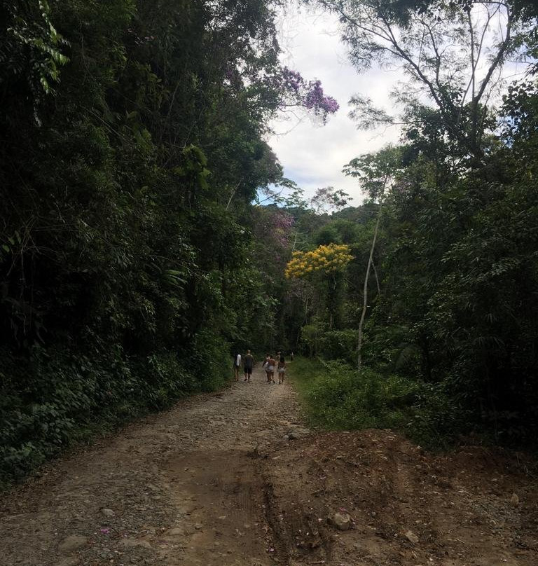 Parque Estadual Do Jurupara-Ibiuna必去景点
