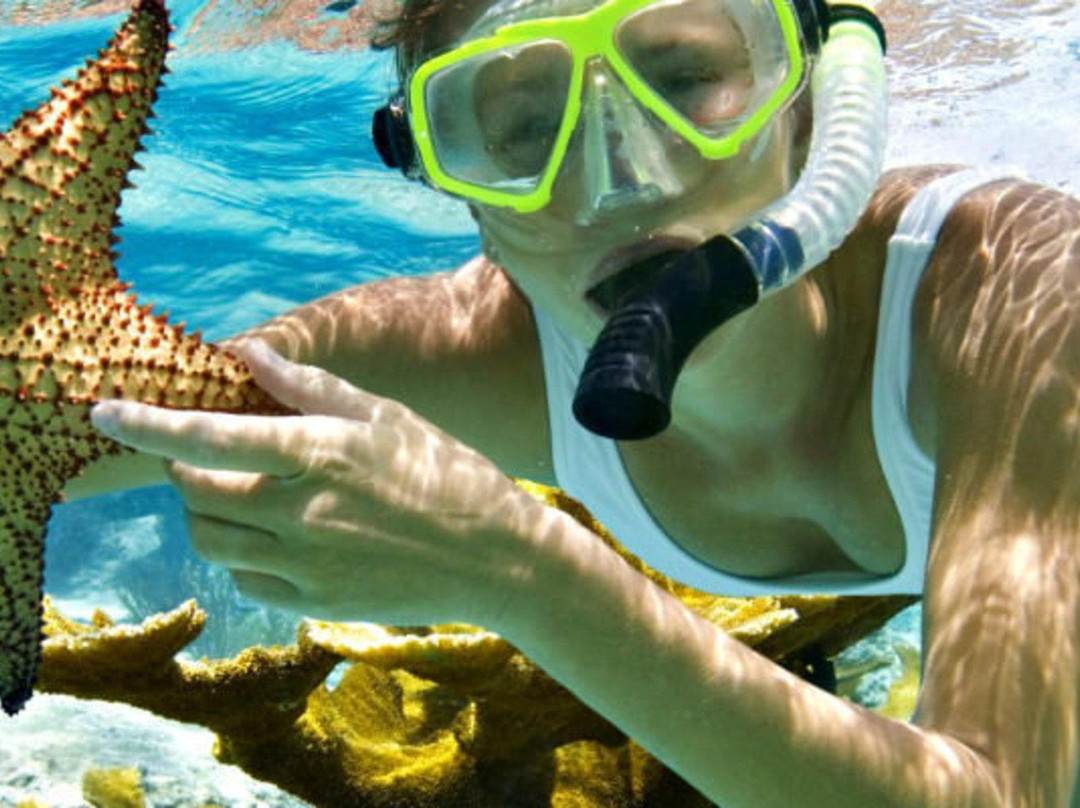 Hurghada Trips-赫尔格达必去景点