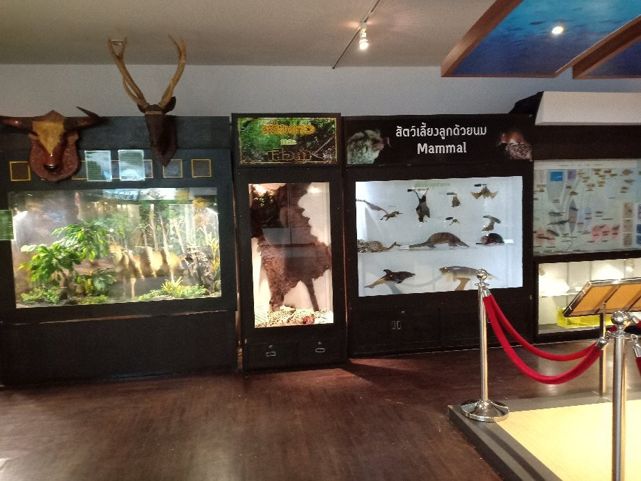 Princess Maha Chakri Sirindhorn Natural History Museum景点图片