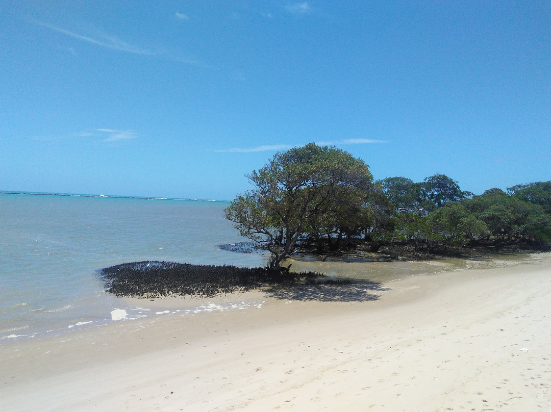 Hotel Pousada Mangrovia主图