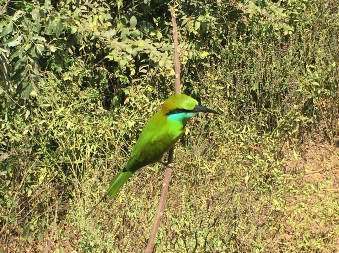 Sihilro Regency主图